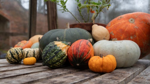 A pile of green, orange and yellow squashes on a wooden surface.